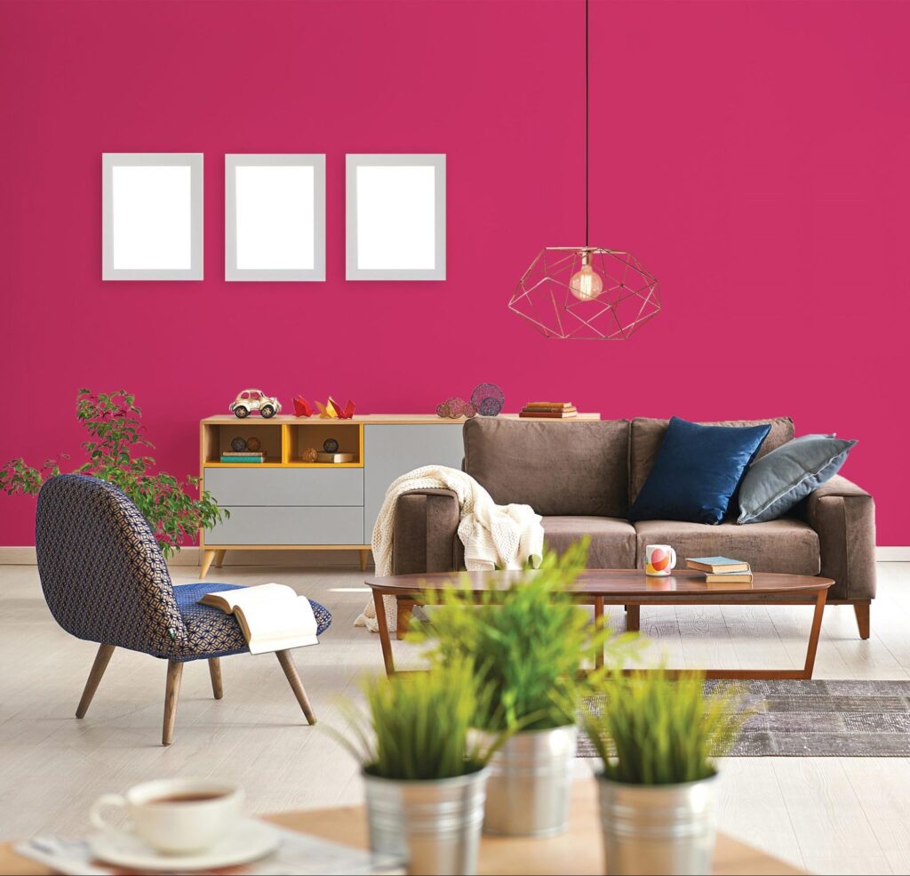 Walls painted with Amaranth Colour give a striking appearance.