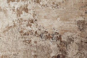 Read more about the article Rustic Wall Texture Designs for Modern Indian Homes