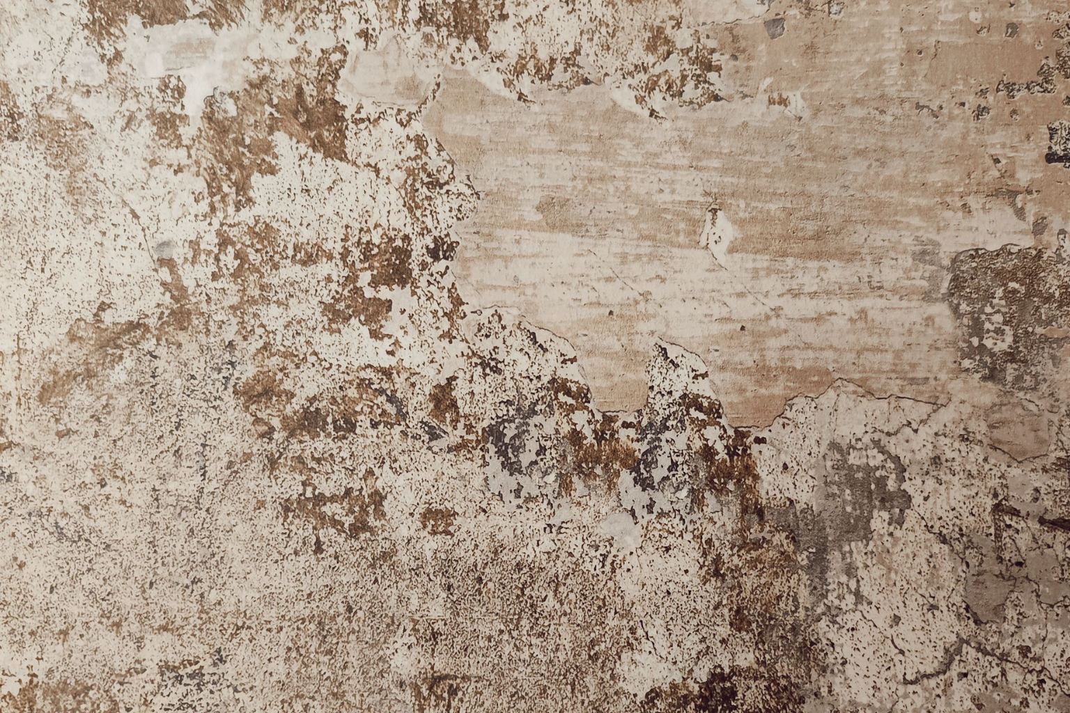 You are currently viewing Rustic Wall Texture Designs for Modern Indian Homes